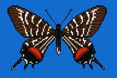 ブータンシボリアゲハのイラスト画像