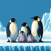 コウテイペンギンのイラスト画像
