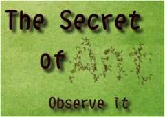 The Secret Of Antのゲーム画面
