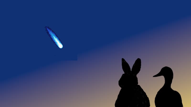 アトラス彗星とうさぎとアヒル