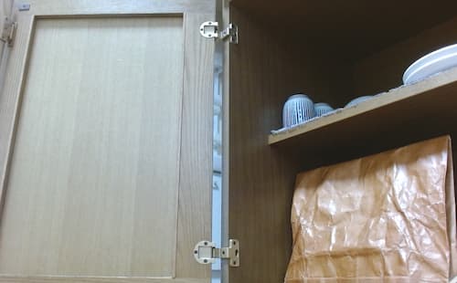 の画像