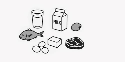 たんぱく質を含む食品の画像